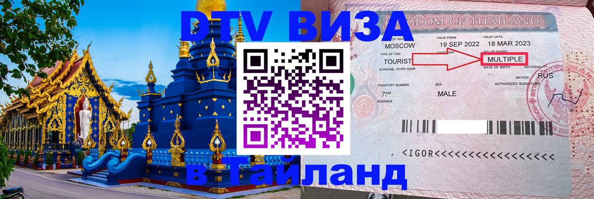 Оформление DTV визы под ключ: стоимость и тарифы, только загранпаспорт - 08.01.2026 